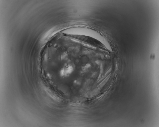 X0000112020339200908241520