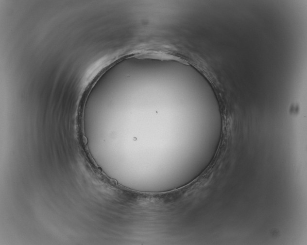 X0000112020340200908241520