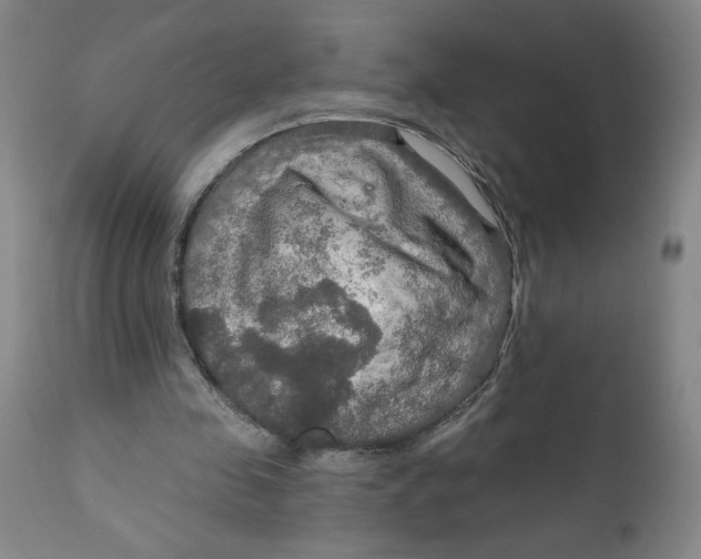 X0000112020341200908241520