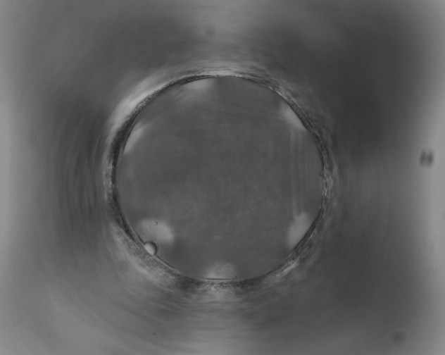 X0000112020343200908241520