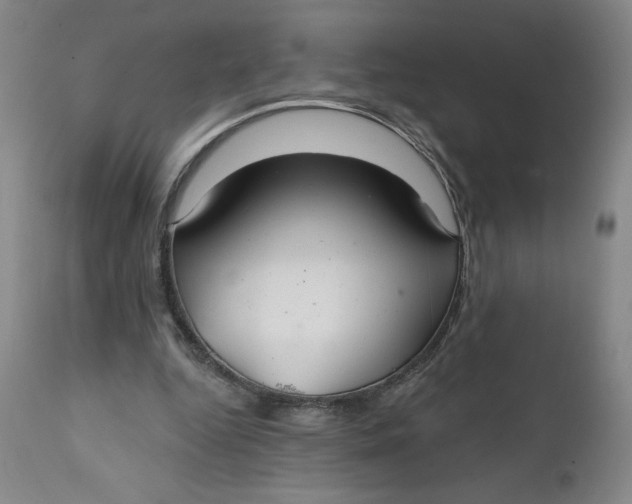 X0000112020344200908241520