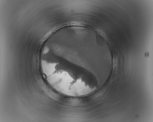 X0000112020349200908241520