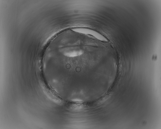 X0000112020351200908241520