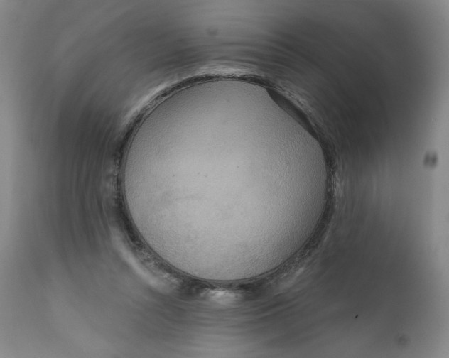 X0000112020352200908241520