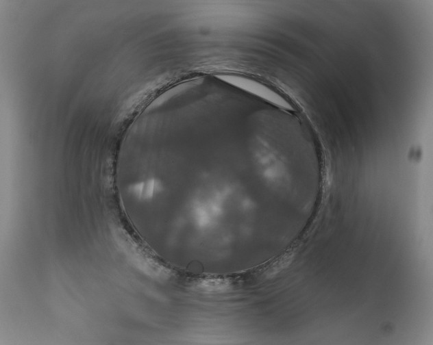 X0000112020353200908241520