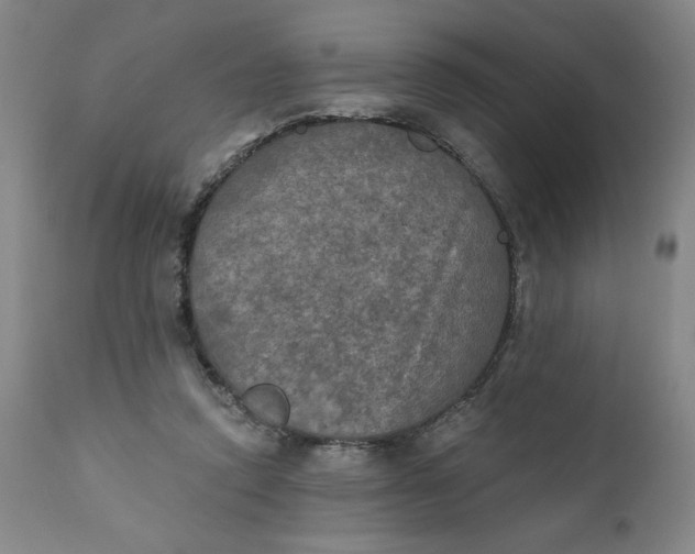 X0000112020354200908241520