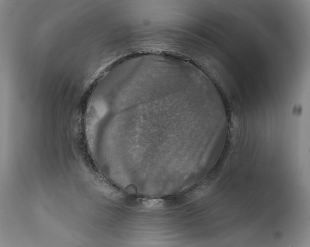 X0000112020355200908241520