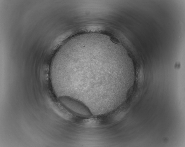 X0000112020356200908241520