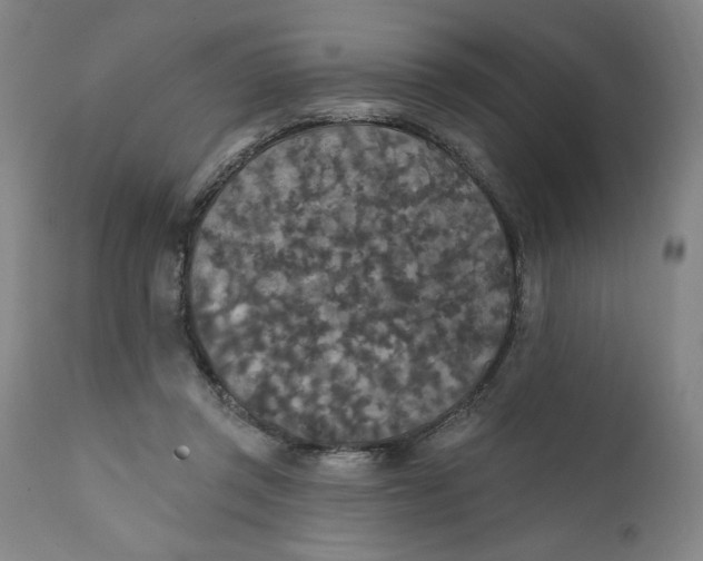 X0000112020357200908241520