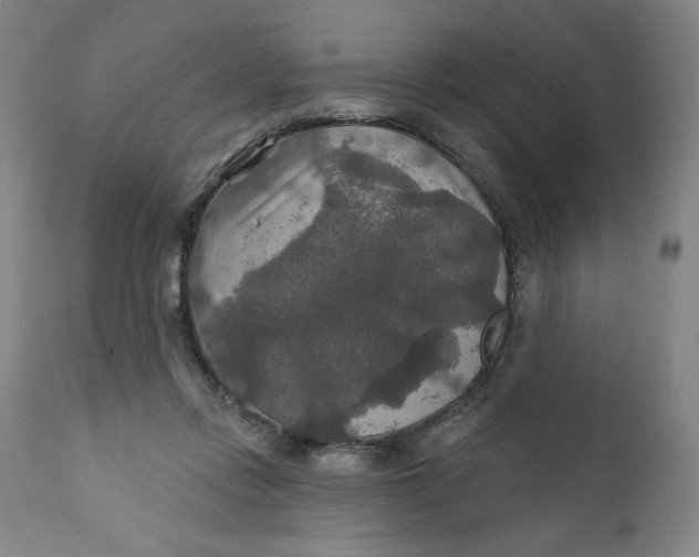 X0000112020358200908241520