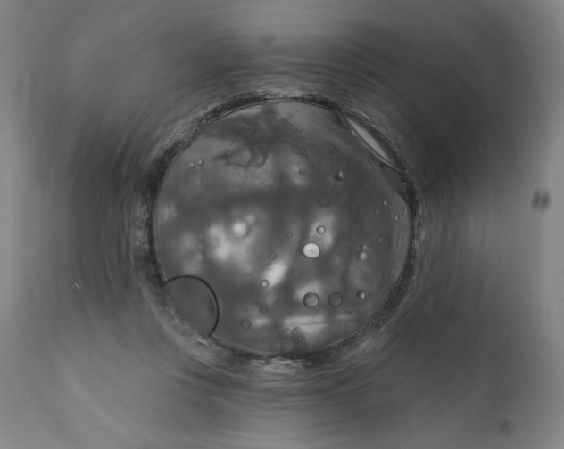 X0000112020359200908241520