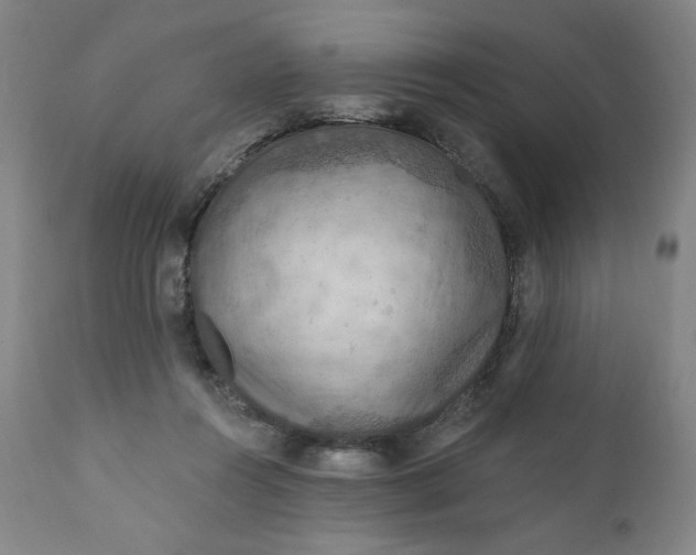 X0000112020360200908241520