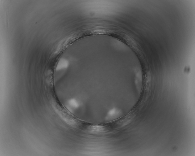 X0000112020361200908241520