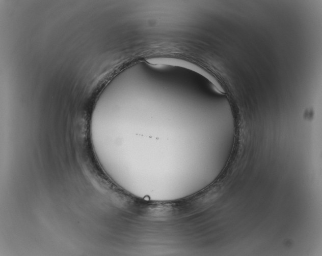 X0000112020362200908241520