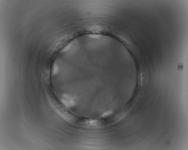 X0000112020365200908241520