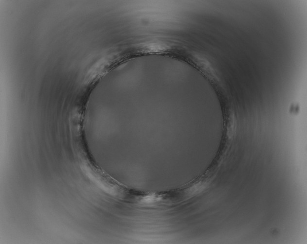 X0000112020366200908241520