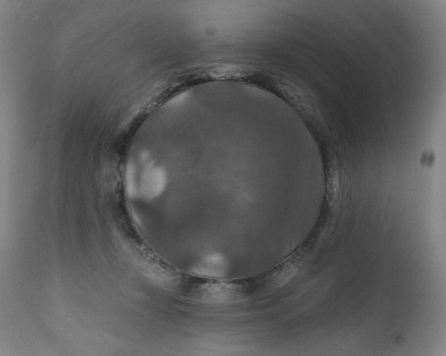 X0000112020367200908241520