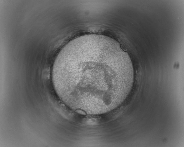 X0000112020368200908241520