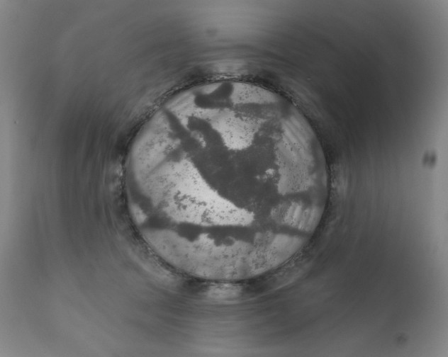 X0000112020369200908241520