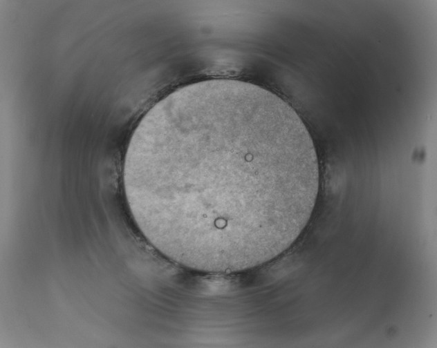 X0000112020370200908241520