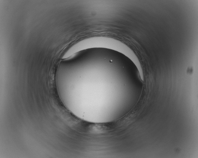 X0000112020372200908241520