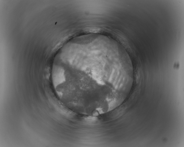 X0000112020374200908241520