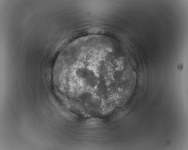 X0000112020375200908241520