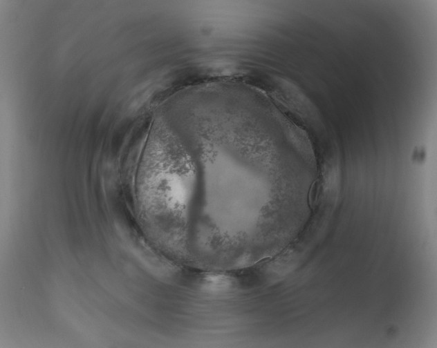 X0000112020376200908241521