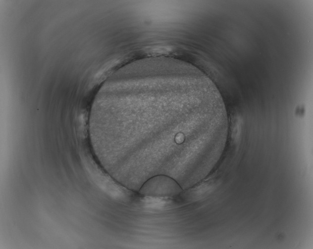 X0000112020378200908241521