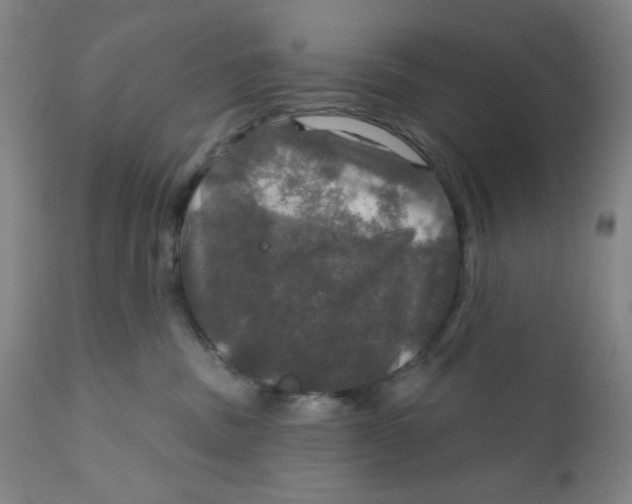 X0000112020379200908241521