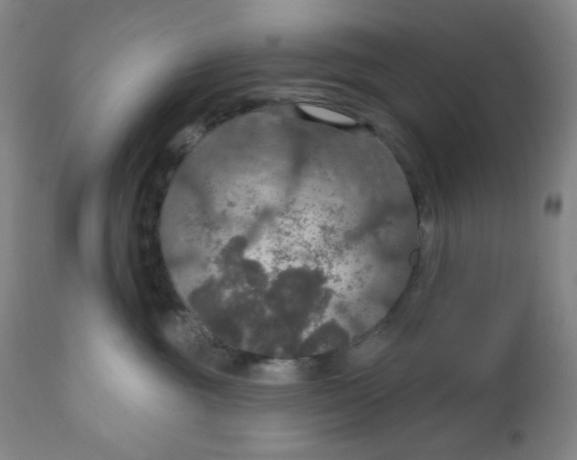 X0000112020381200908241521