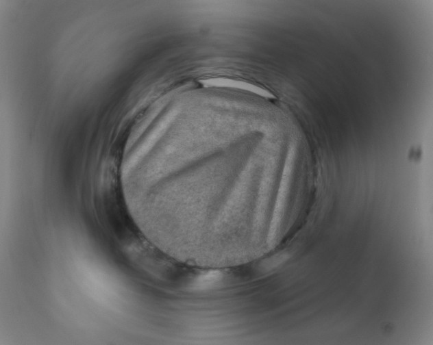 X0000112020382200908241521