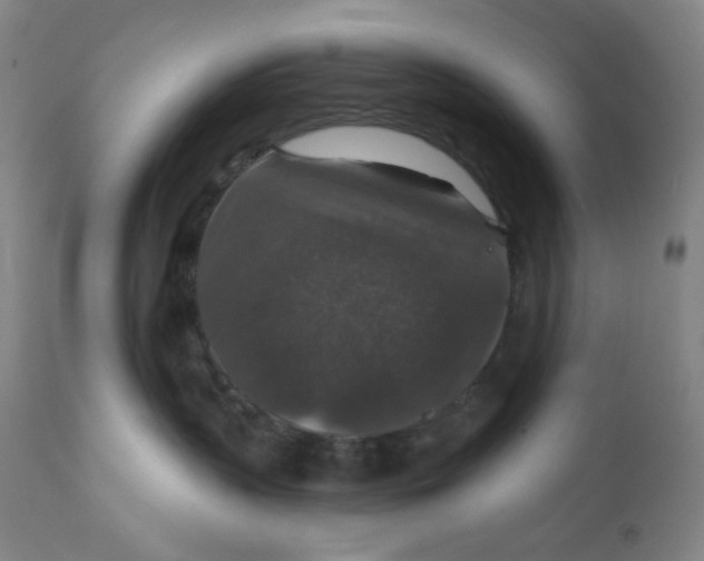 X0000112020383200908241521