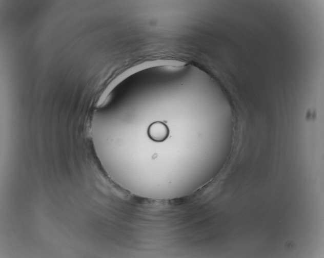 X0000112020384200908241521