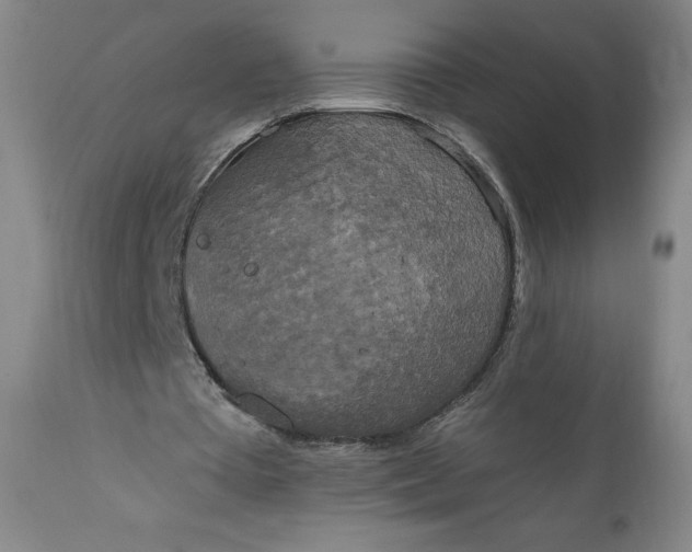 X0000112020385200908241520