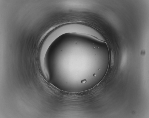 X0000112020387200908241520