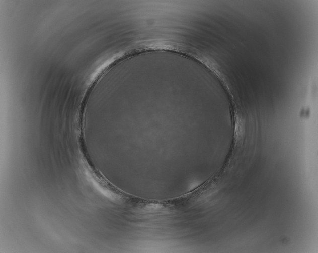 X0000112020390200908241520