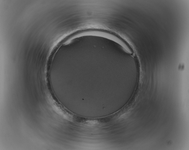 X0000112020391200908241520