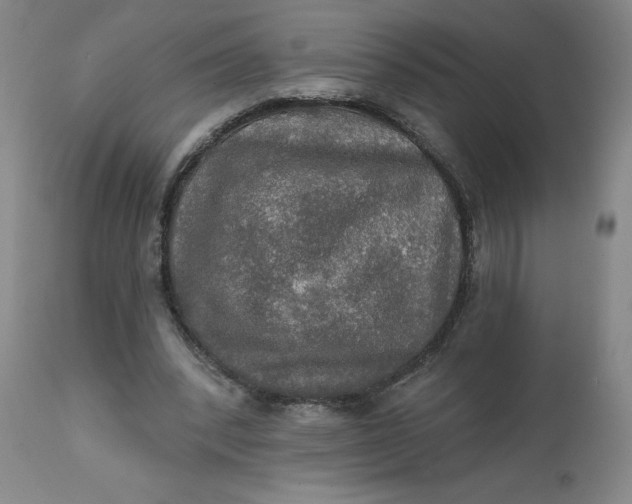 X0000112020392200908241520