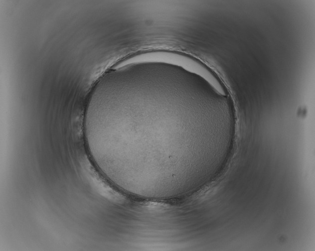 X0000112020393200908241520