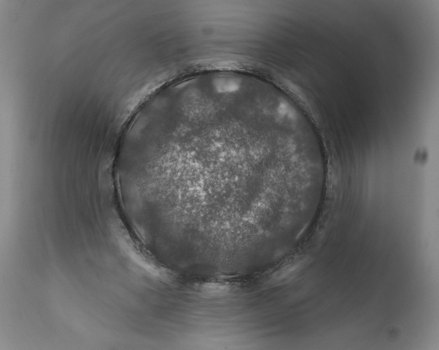 X0000112020394200908241520