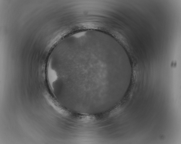 X0000112020398200908241520