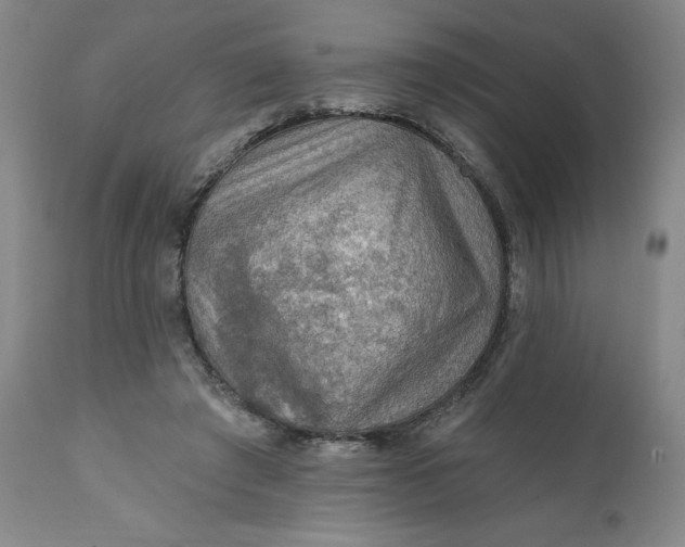 X0000112020401200908241520