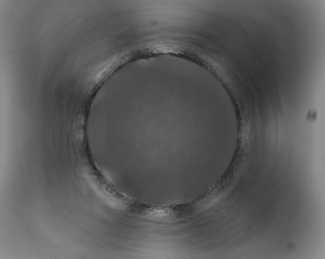 X0000112020402200908241520