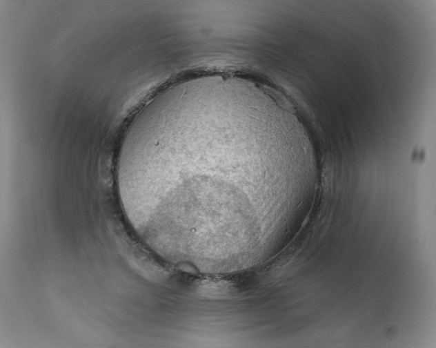 X0000112020403200908241520