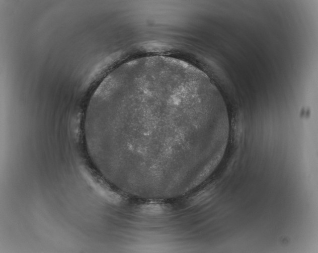 X0000112020404200908241520