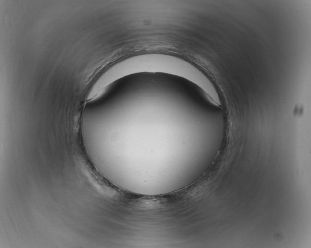 X0000112020405200908241520