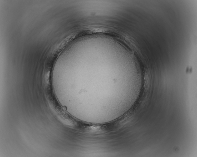 X0000112020406200908241520