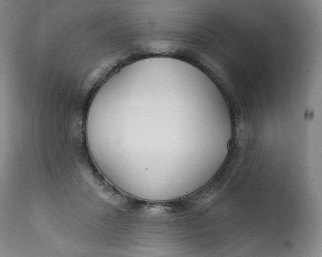 X0000112020407200908241520