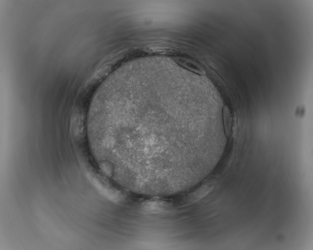 X0000112020408200908241520